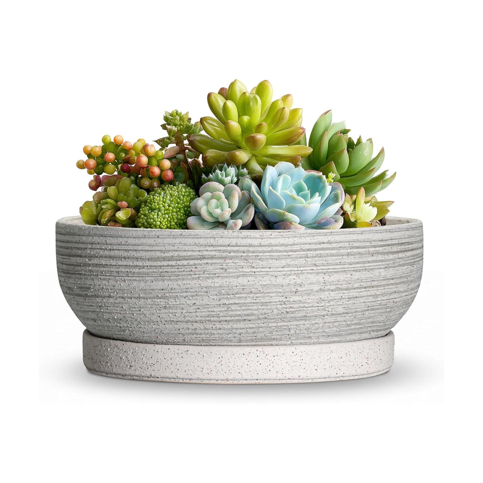 6 Inch Ceramic Succulent Planters with Saucer, Brushed Grey | Small Bonsai Tree Pots with Drainage Hole, Round Pots for