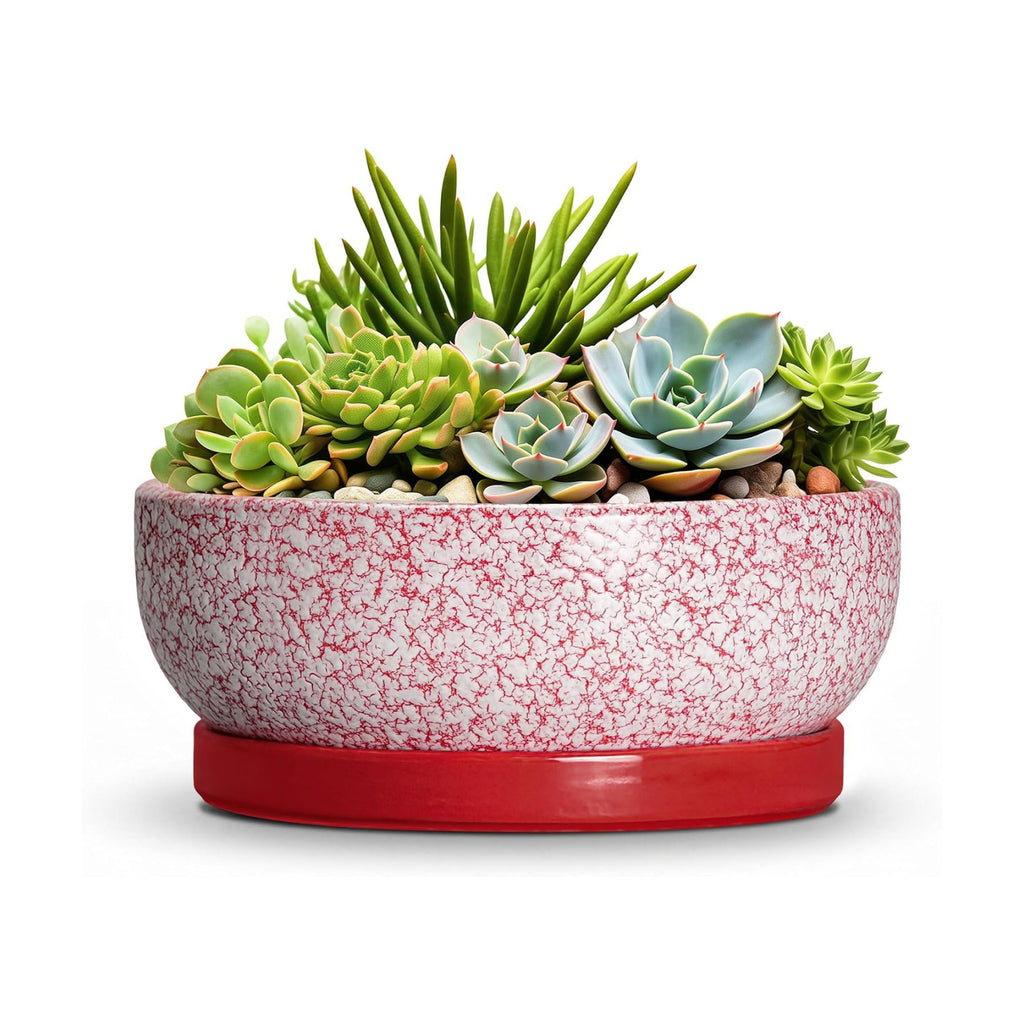 Ceramic Succulent Planter, 8 Inch Bonsai Pots with Tray, Texture Red | Succulent Pots for Indoor Plants, Round Shallow