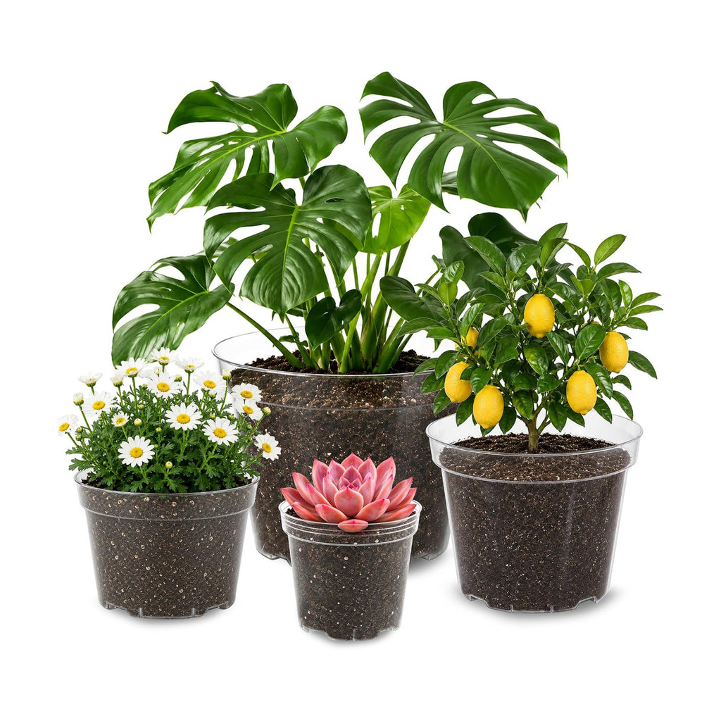 16 Pack 4/6/7.9/9.8 inch Clear Nursery Pots with Drainage Holes | Thickened UV Resistant Plastic Pots, Comes with Plant