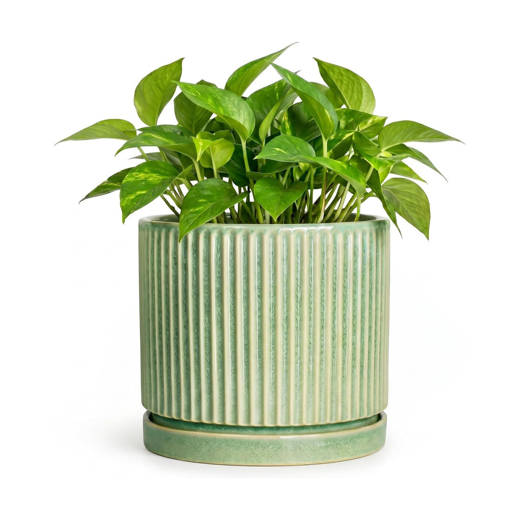 6 Inch Planter, Ceramic Plant Pots, Round Pots for Plants, Green