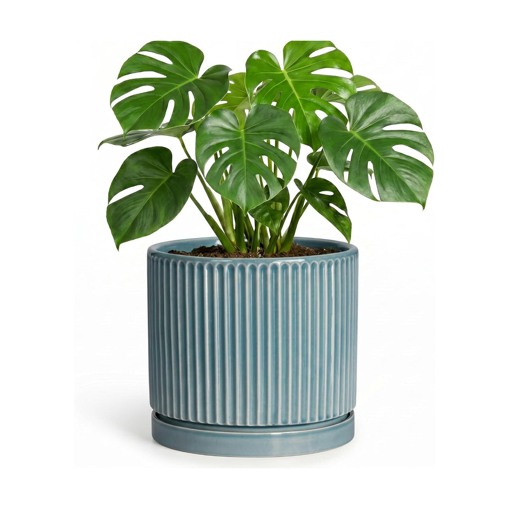 8 Inch Planter, Ceramic Pots for Plants with Saucer, Glaze Blue