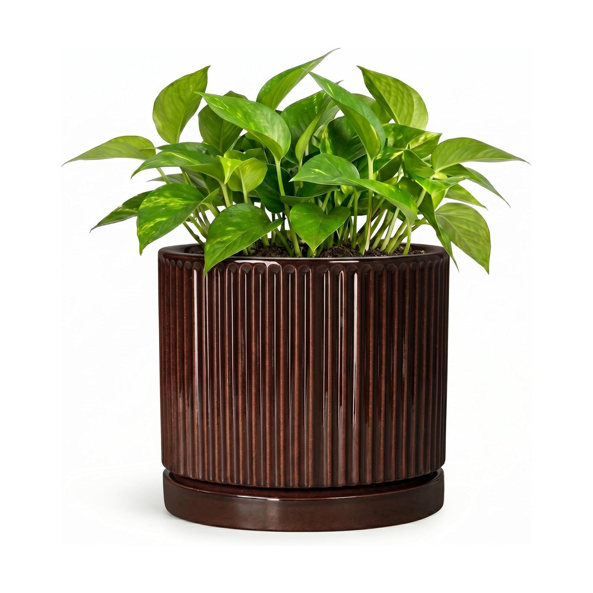 Ceramic Plant Pots, 6 Inch Pots for Plants, Round Planter, Brown