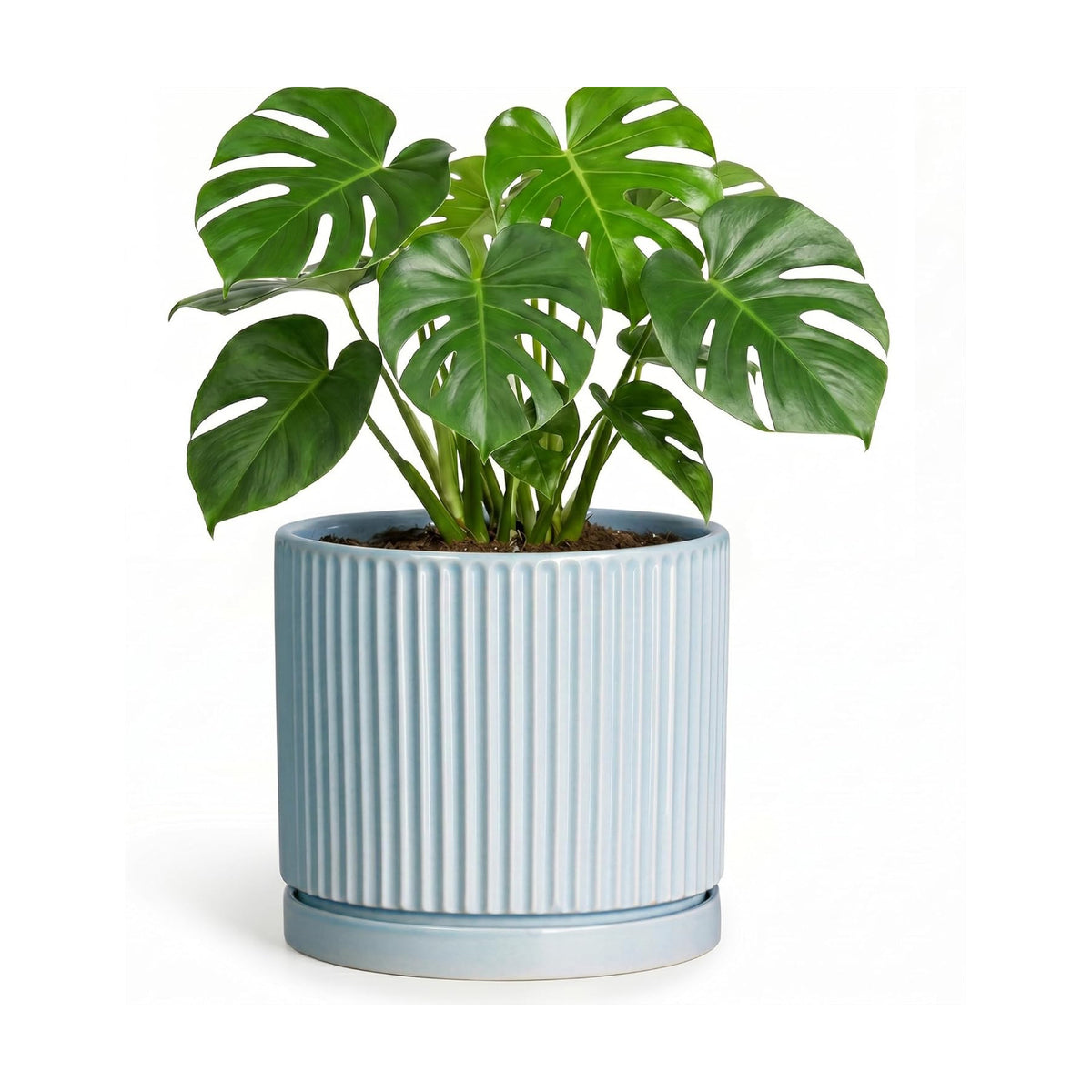 Ceramic Planter, 8 Inch Flower Pots, Round Plant Pot, Light Blue
