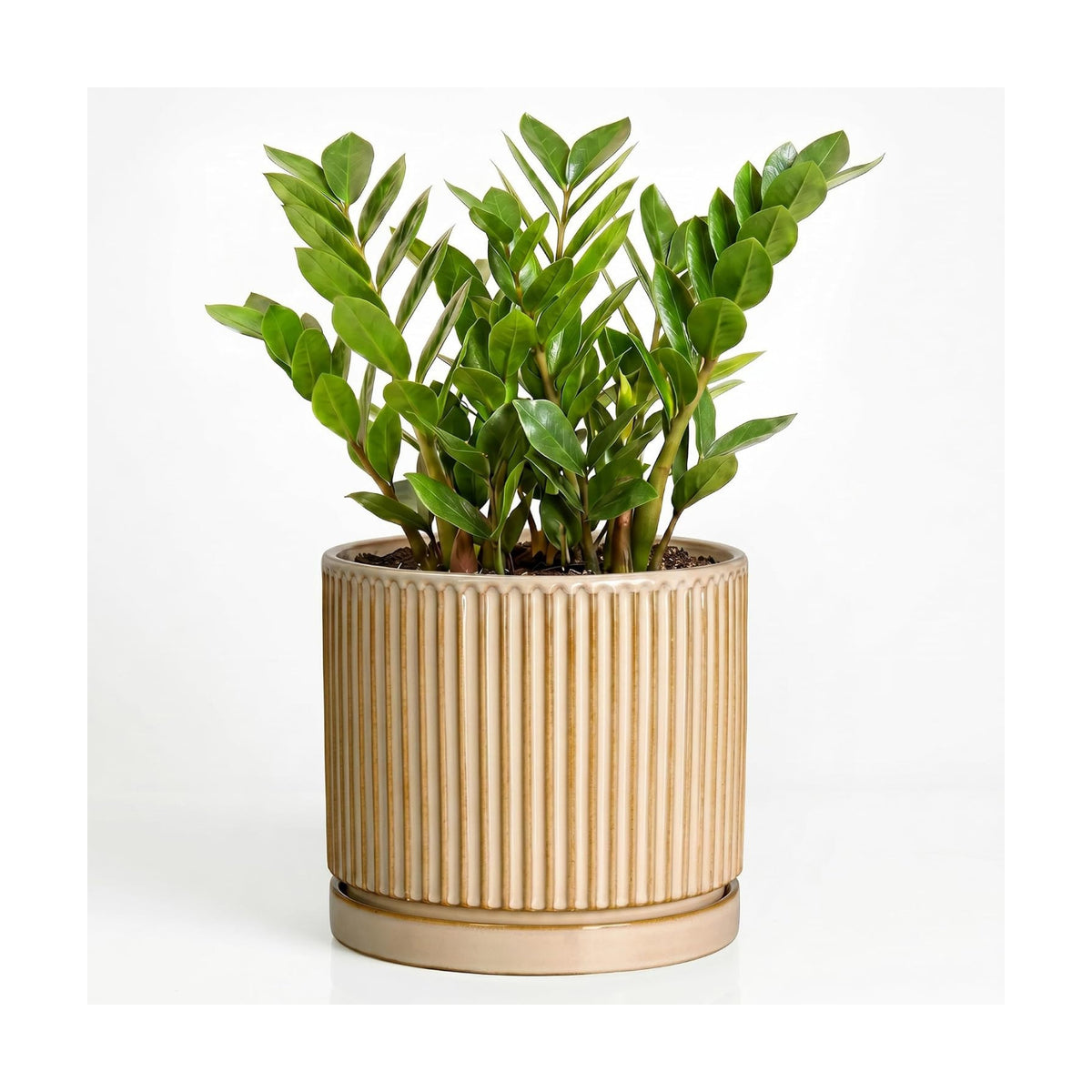 Ceramic Pots for Plants, 10 Inch Planters, Round Plant Pot, Beige