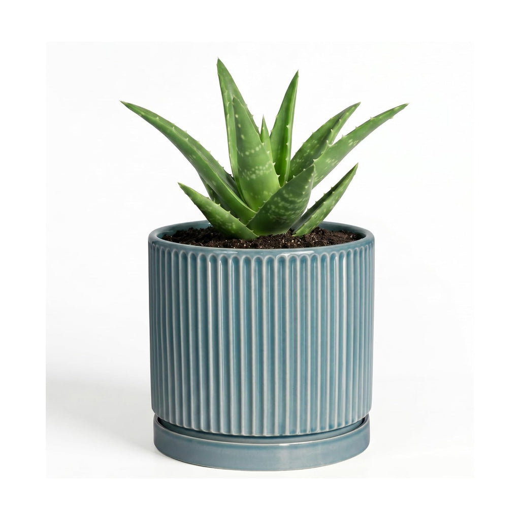 4 Inch Pots for Plants, Ceramic Planter with Saucer, Glaze Blue