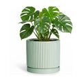 Ceramic Plant Pots, 8 Inch Pots for Plants with Saucer, Mint Green