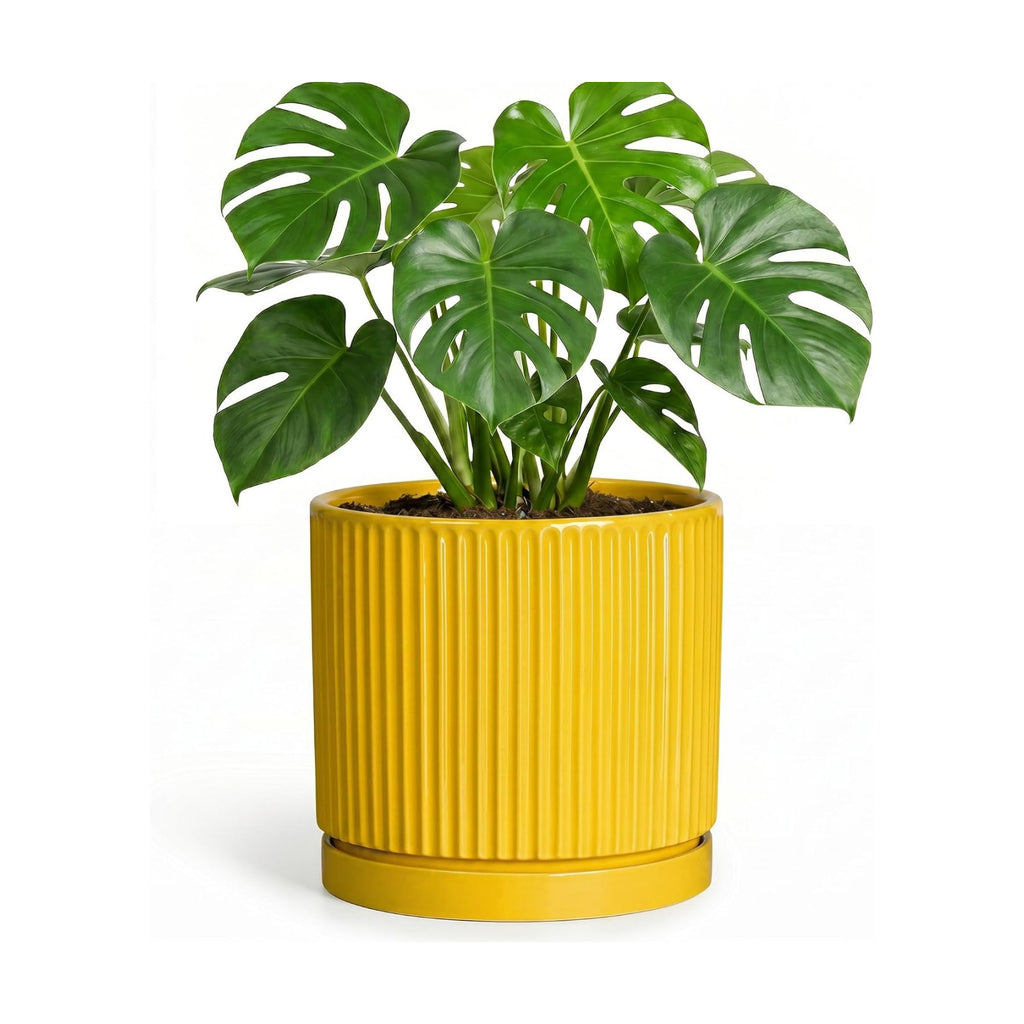 Ceramic Planter 8 Inch, Round Flower Pots with Saucer, Yellow