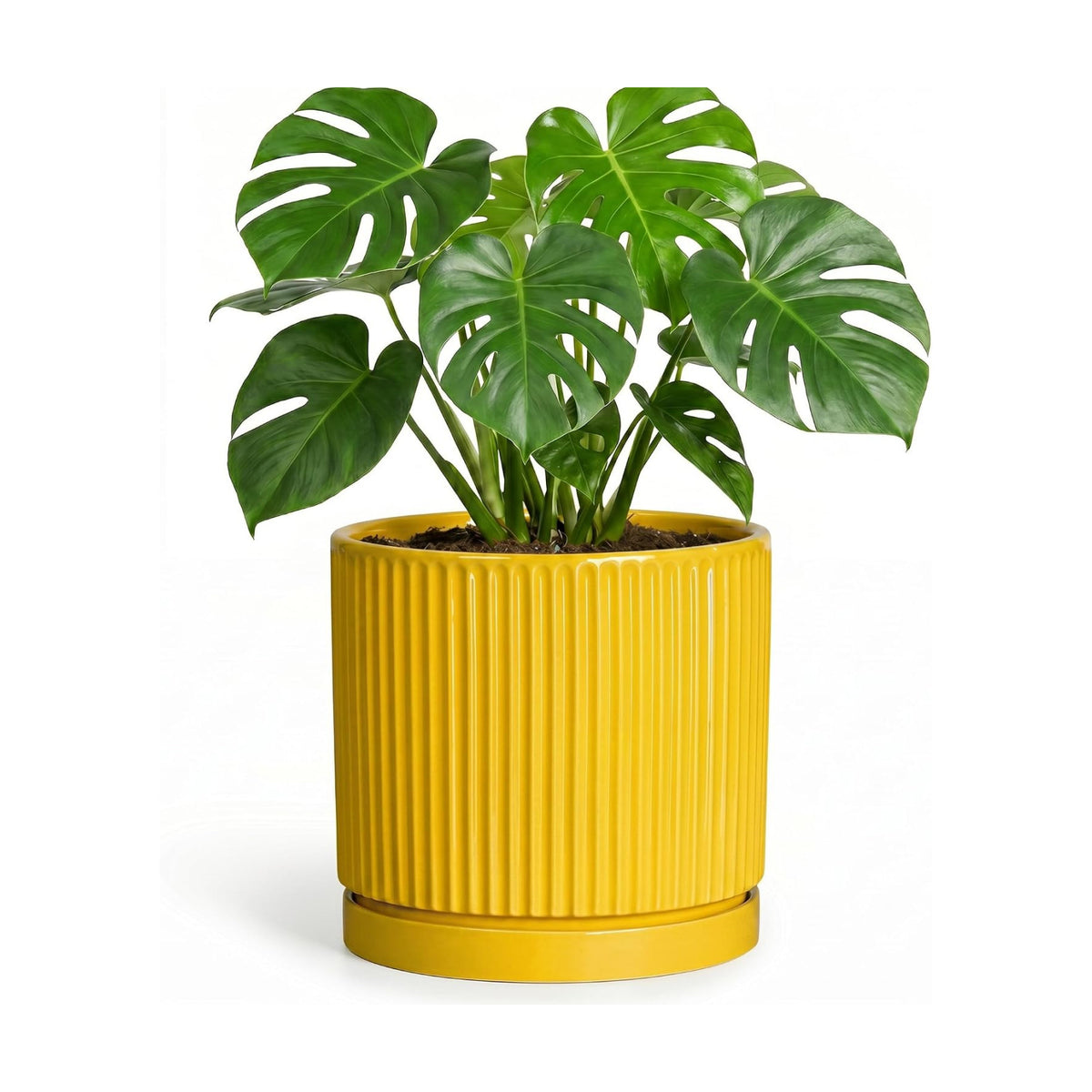 Ceramic Planter 8 Inch, Round Flower Pots with Saucer, Yellow