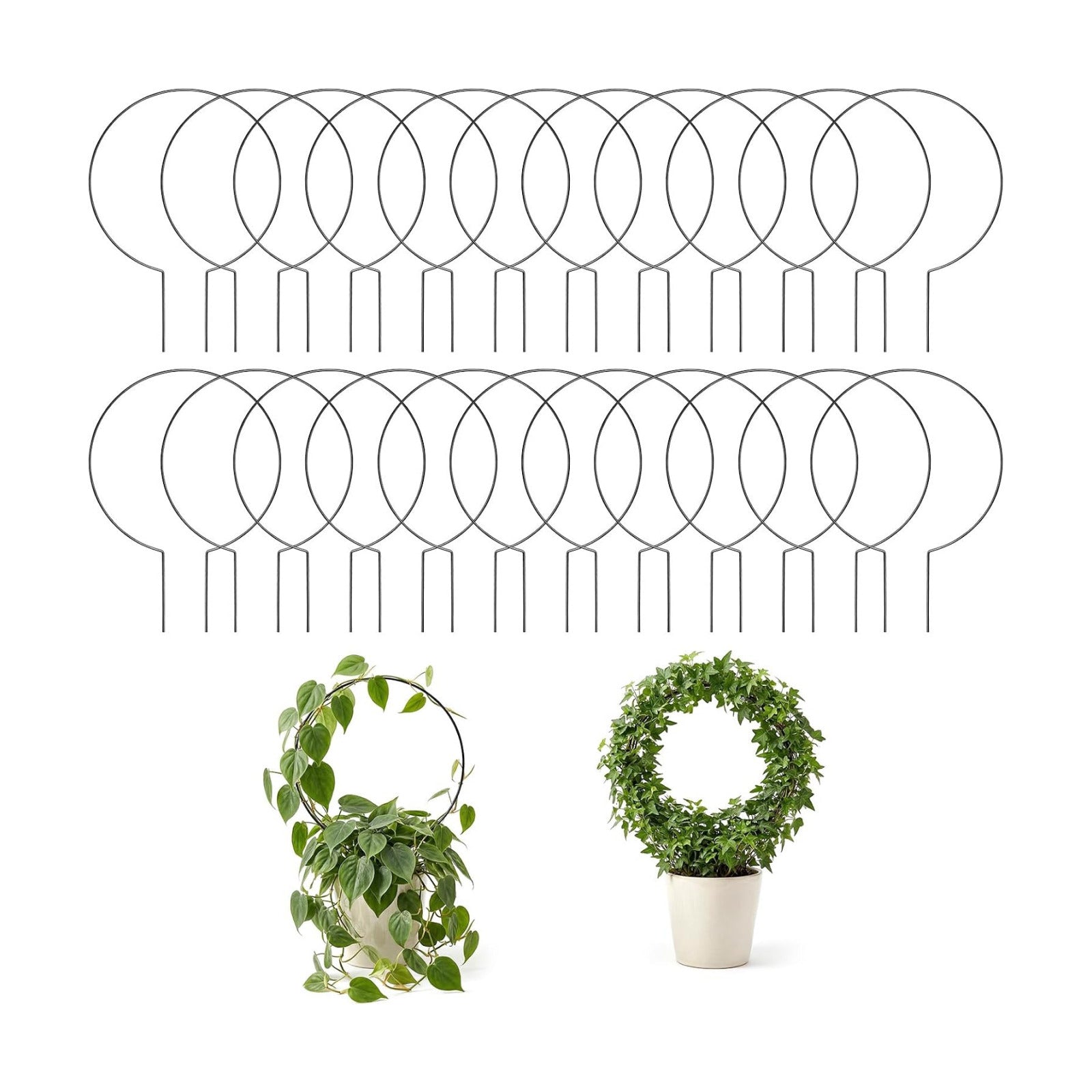 20 Pack 14.2x10.2 Inch Round Hoya Trellis Plant Trellis for Indoor Potted Plants Black Iron Small Plant Support for