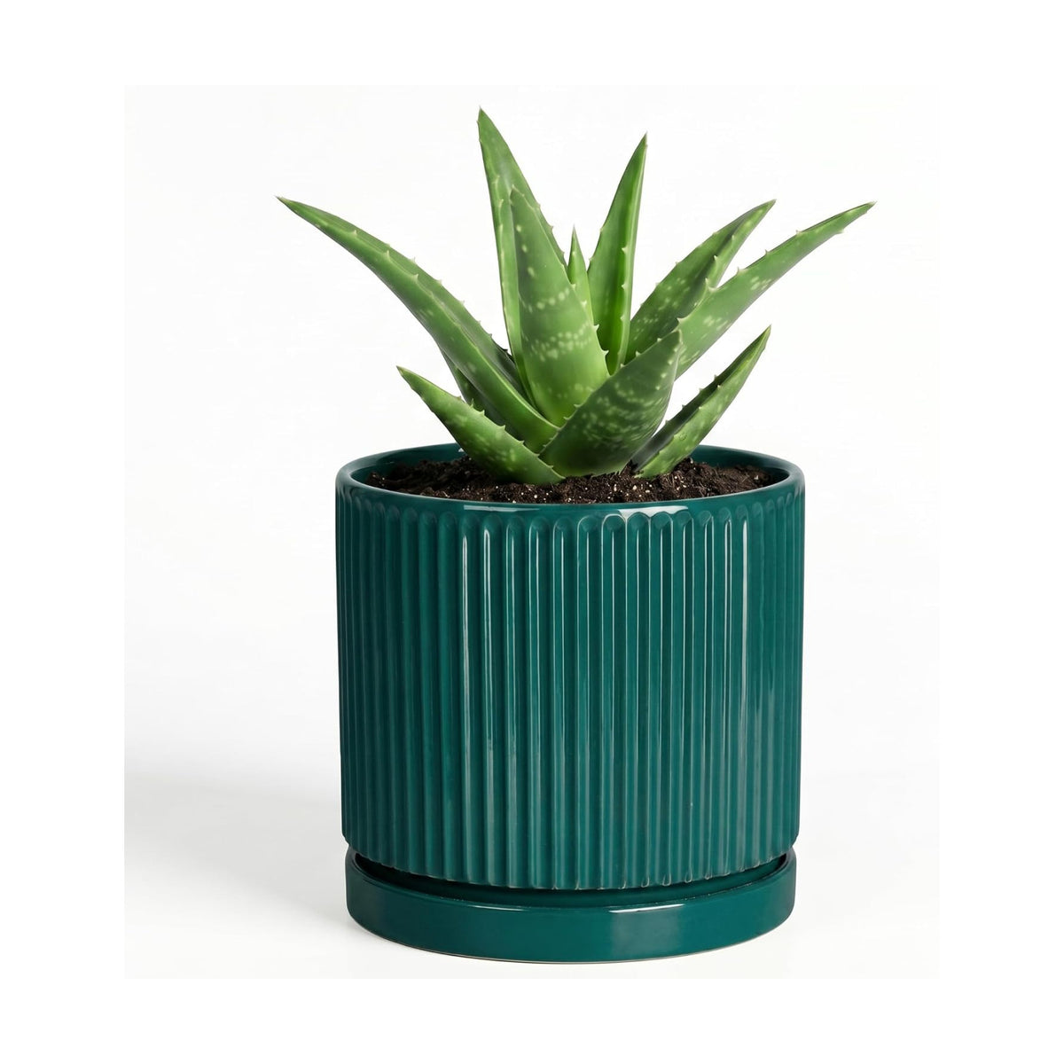 4 Inch Ceramic Pots for Plants, Plant Pots with Tray, Blackish Green