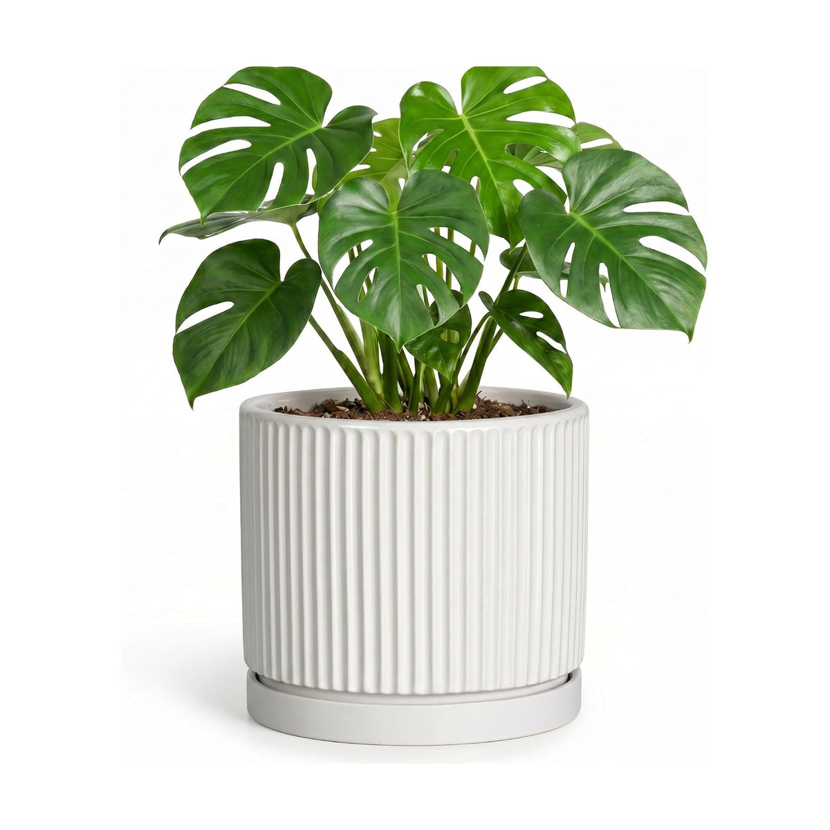 8 Inch Pots for Plants, Ceramic Plant Pots with Saucer, White