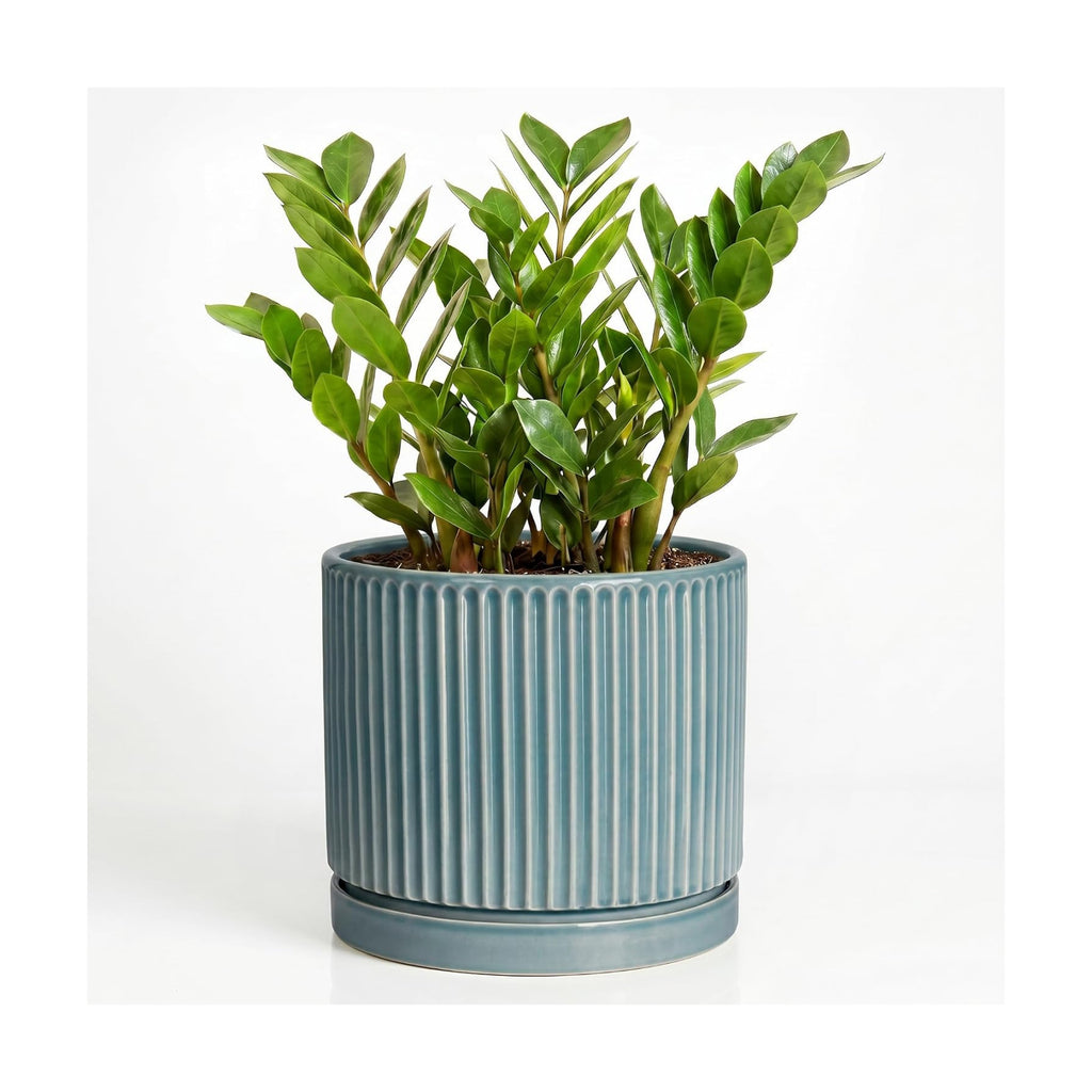 Ceramic Planter 10 Inch, Round Plant Pots with Saucer, Glaze Blue