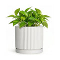 Ceramic Plant Pots 6 Inch, Round Pots for Plants with Tray, White