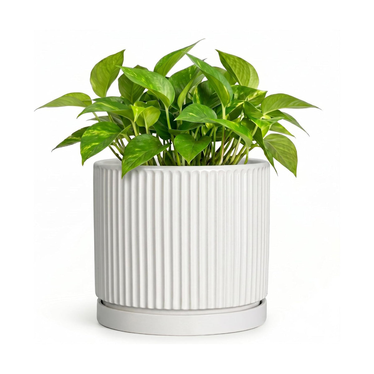 Ceramic Plant Pots 6 Inch, Round Pots for Plants with Tray, White