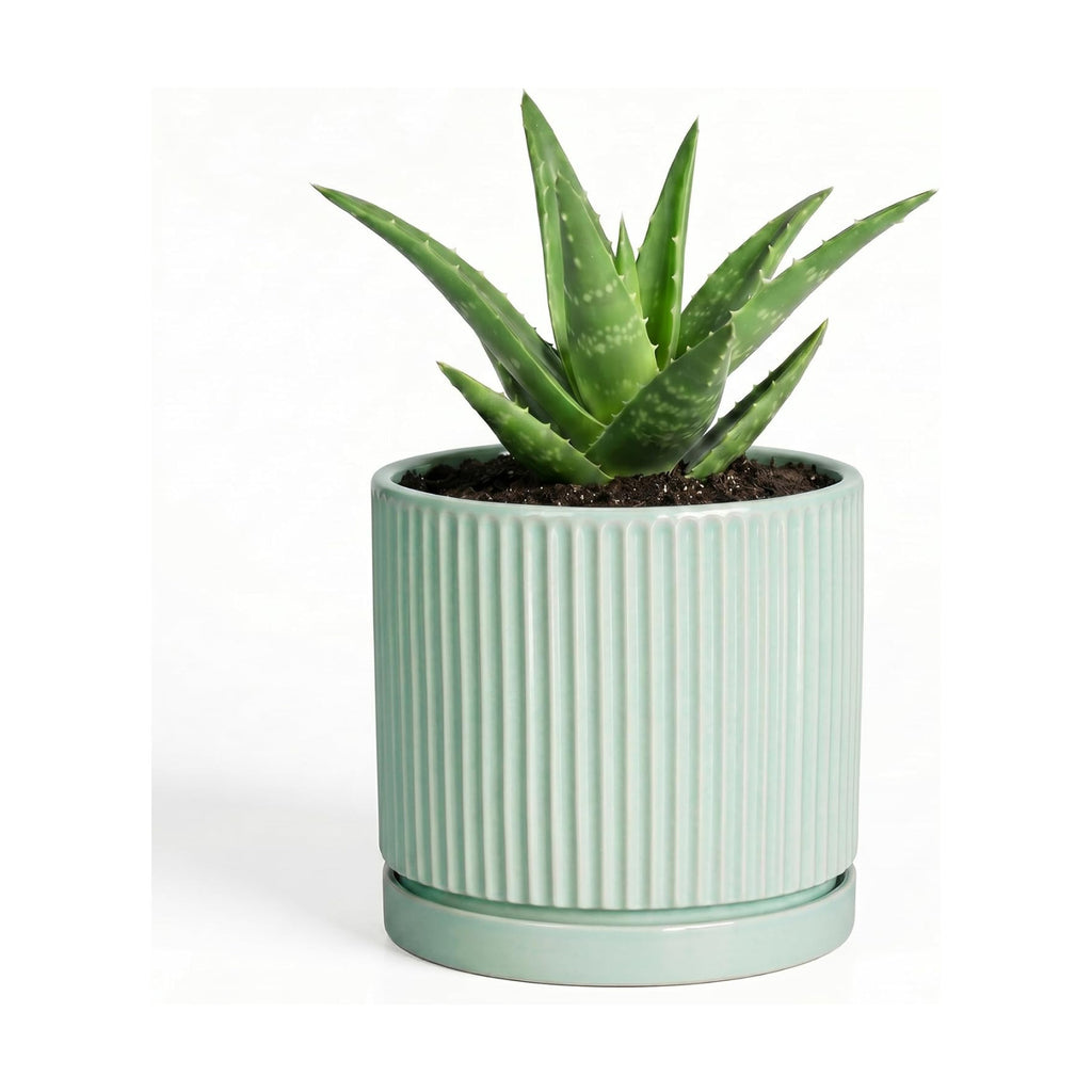 Ceramic Plant Pots, 4 Inch Pots for Plants with Tray, Mint Green
