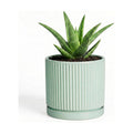 Ceramic Plant Pots, 4 Inch Pots for Plants with Tray, Mint Green