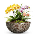 Bowl Planter, 8 Inch Ceramic Succulent Pots, White Leopard | Round Bonsai Pots for Indoor Plants Outdoor, Flower Bowl