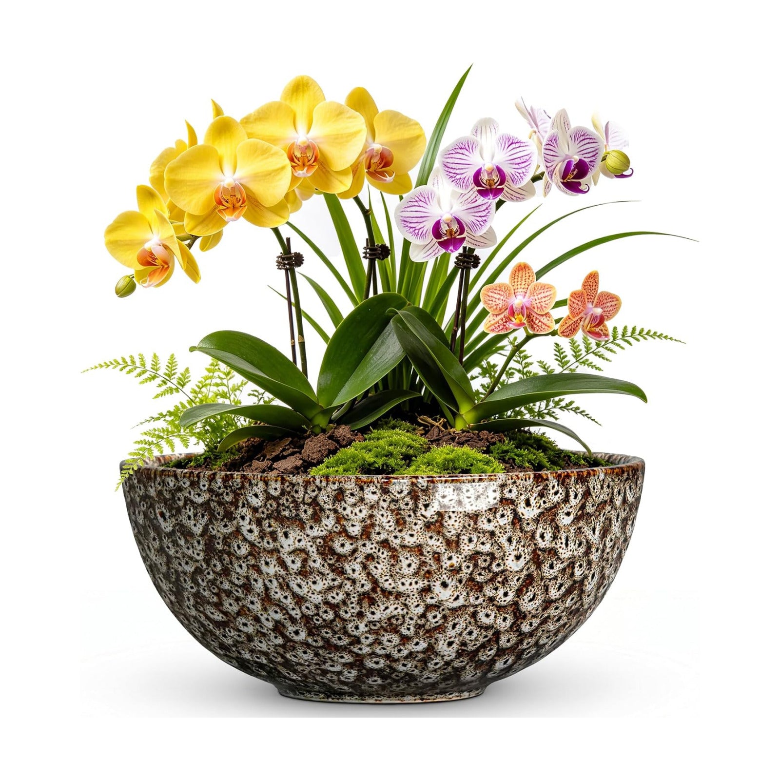 Bowl Planter, 8 Inch Ceramic Succulent Pots, White Leopard | Round Bonsai Pots for Indoor Plants Outdoor, Flower Bowl
