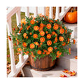 INQCMY Fall Artificial Mums Flowers for Outdoors Planter Fake Plants 6 PCS