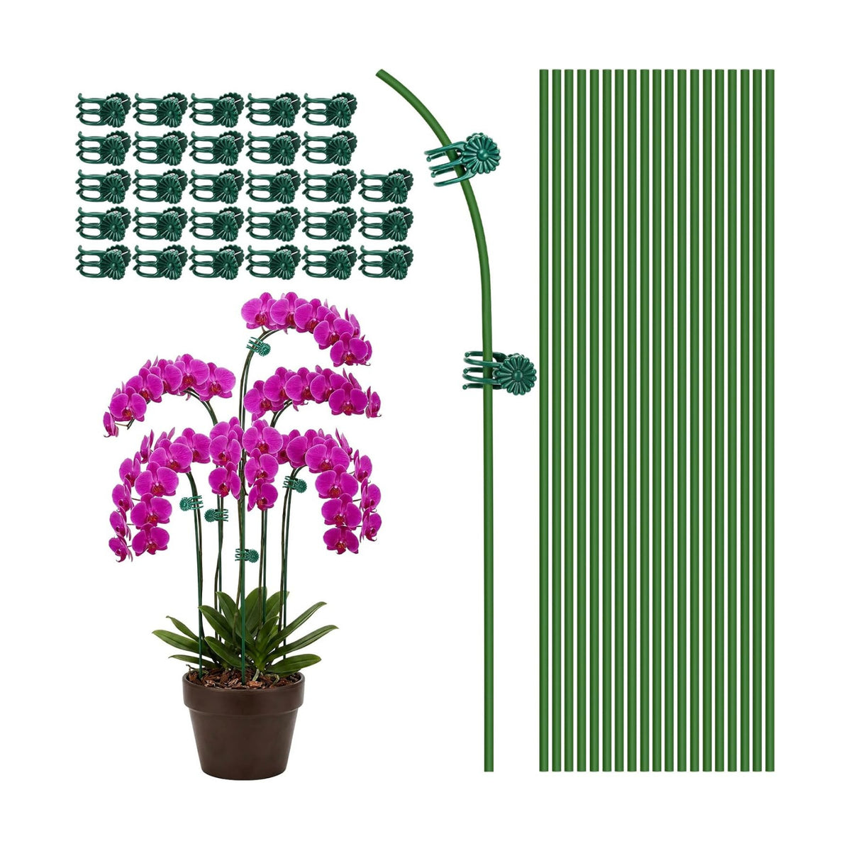 16 Inches Orchid Stakes and Clips, Pack of 20 Stakes, 30 Clips