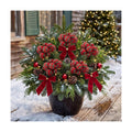 Daifunli 8 Pcs Buffalo Plaid Christmas Ball Tree Picks 7.87 Inch Xmas Picks