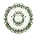 100PCS 10in Faux Olive Leaves Stems Bulk for Wedding Hotel Decor