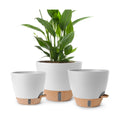 Self Watering Pots for Indoor Plants, 3 Pack 12/10/8 Inch, Large Planter with Water Reservoir, Modern Decorative Flower Pots for Home & Office White
