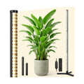 OUTON Standing Grow Lights for Indoor Plants, 48W Full Spectrum Plant Light