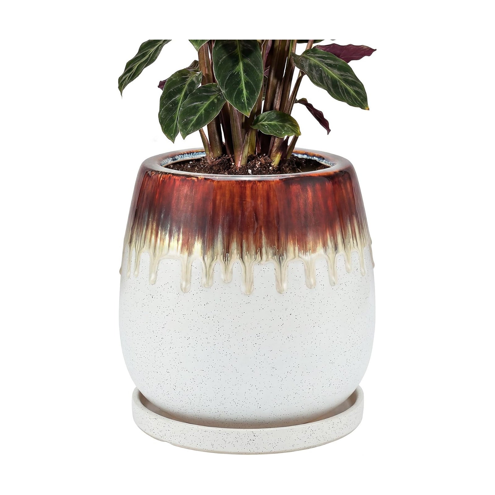 10.3 Inch Ceramic Glaze Plant Pot with Saucer, Flower Pots with Drainage Hole Mesh Net (Hemp-White)