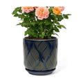 7.2 Inch Modern Ceramic Glaze Plant Pot with Drainage Hole,Mesh Net,Saucer,Indoor Outdoor Planter(Leaf-Blue)