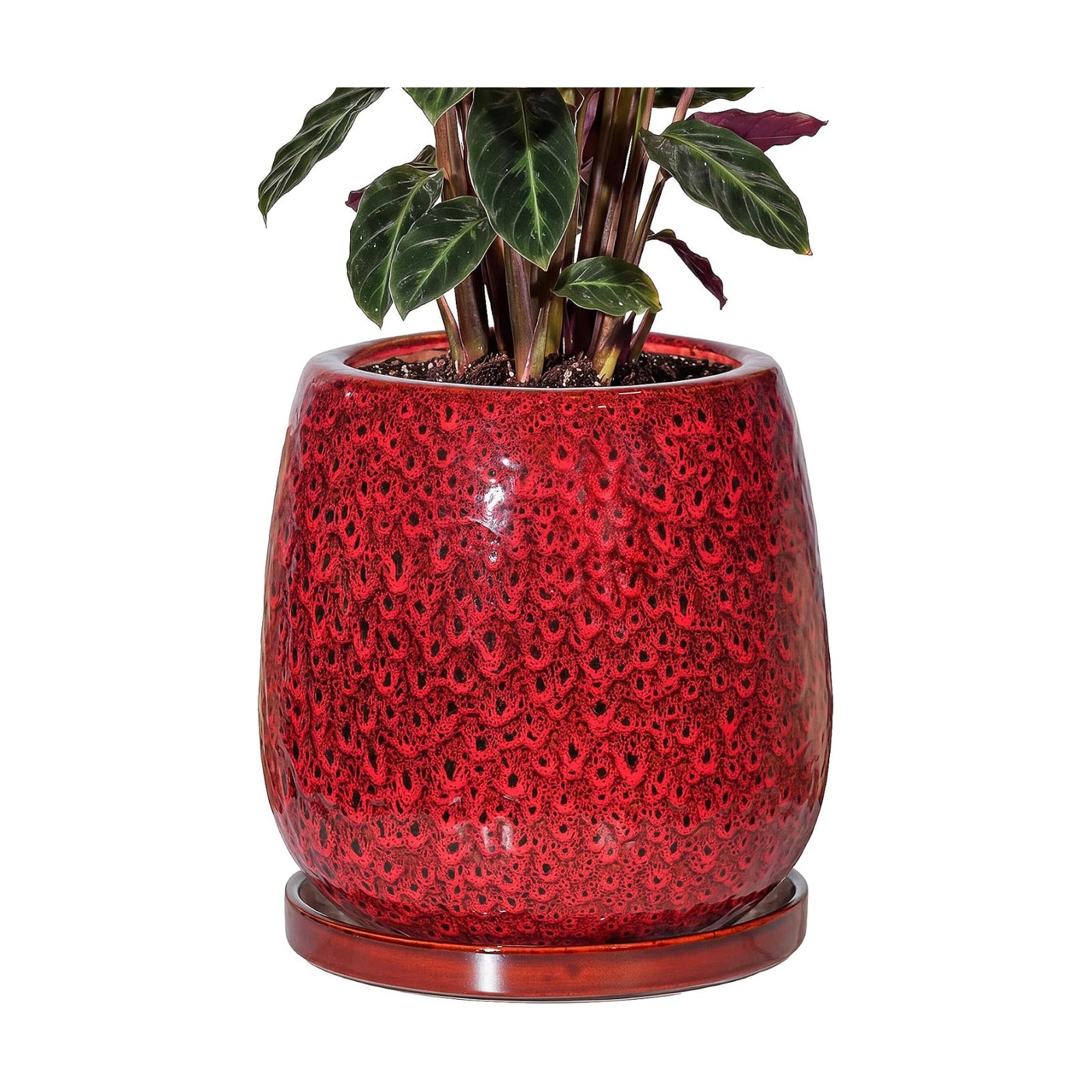 10.3 Inch Ceramic Glaze Plant Pot with Saucer, Flower Pots with Drainage Hole Mesh Net (Spot Red)