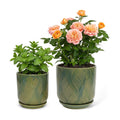 Ceramic Glaze Plant Pot Set 7.2+5.8 Inch Planter with Drainage Hole,Mesh Net,Saucer,for Indoor Outdoor (Leaf-Green)