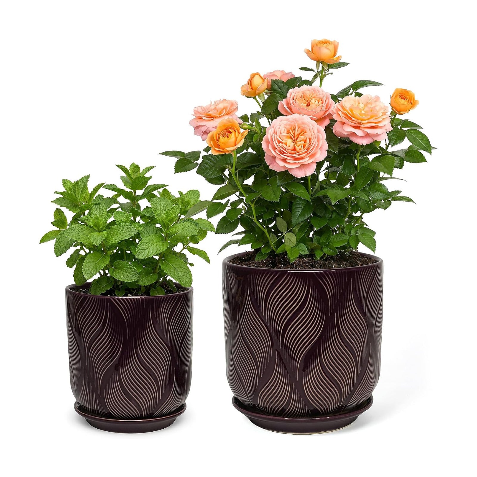 Ceramic Glaze Plant Pot Set 7.2+5.8 Inch Planter with Drainage Hole,Mesh Net,Saucer,for Indoor Outdoor (Leaf-Dark