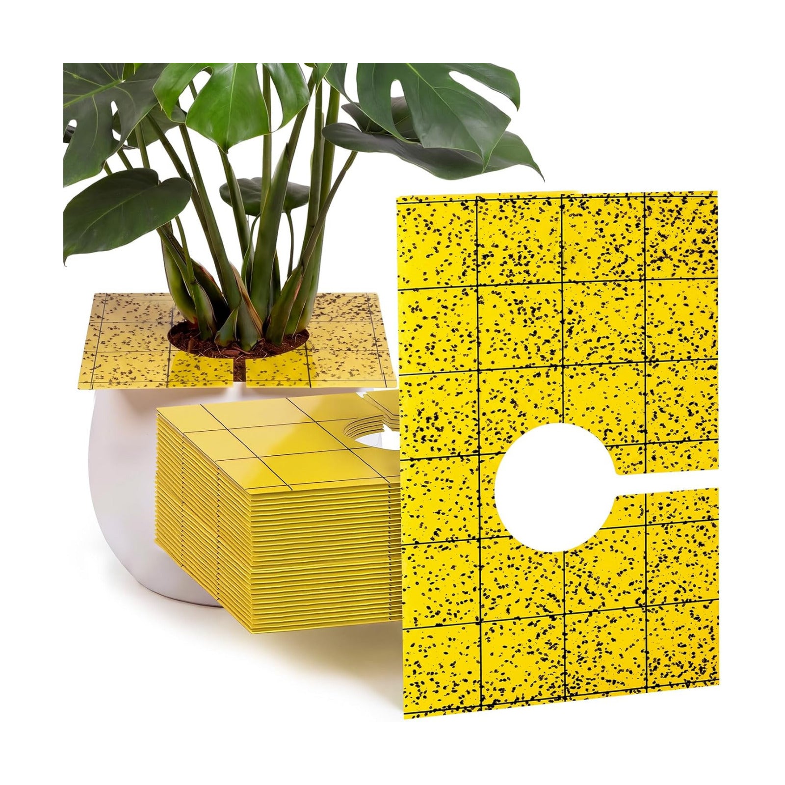 50 Pack Yellow Pre-Cut Sticky Traps Bulk for Gnats 3 x 5 Inch Dual Sided Bug Fly Sticky Traps with Center Hole for