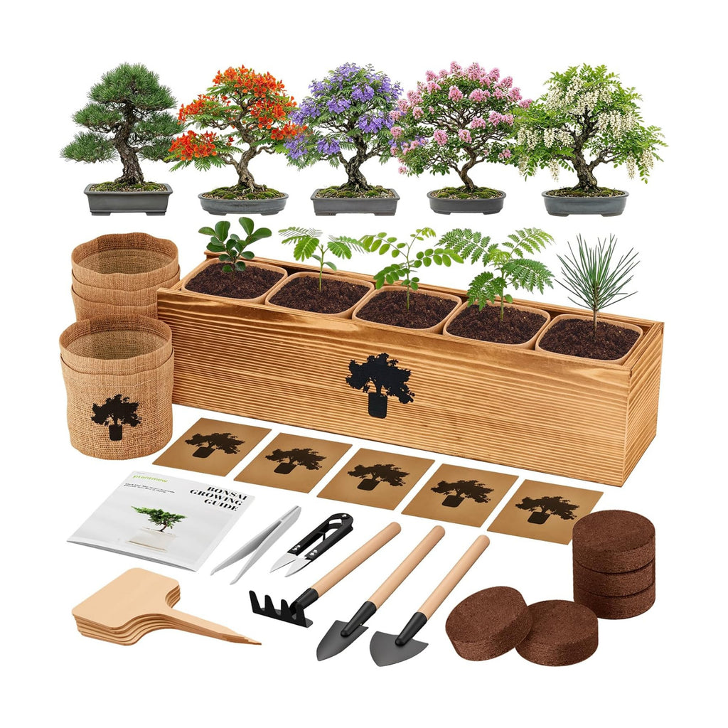Bonsai Tree Kit - Complete Indoor Bonsai Starter Kit with 5 Unique Tree Seeds, Bonsai Tools - DIY Gardening Gift for