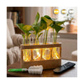 Plant Propagation Station with LED Grow Light, Rechargeable Wooden Desktop Planter Terrarium with 4 Glass Test Tubes
