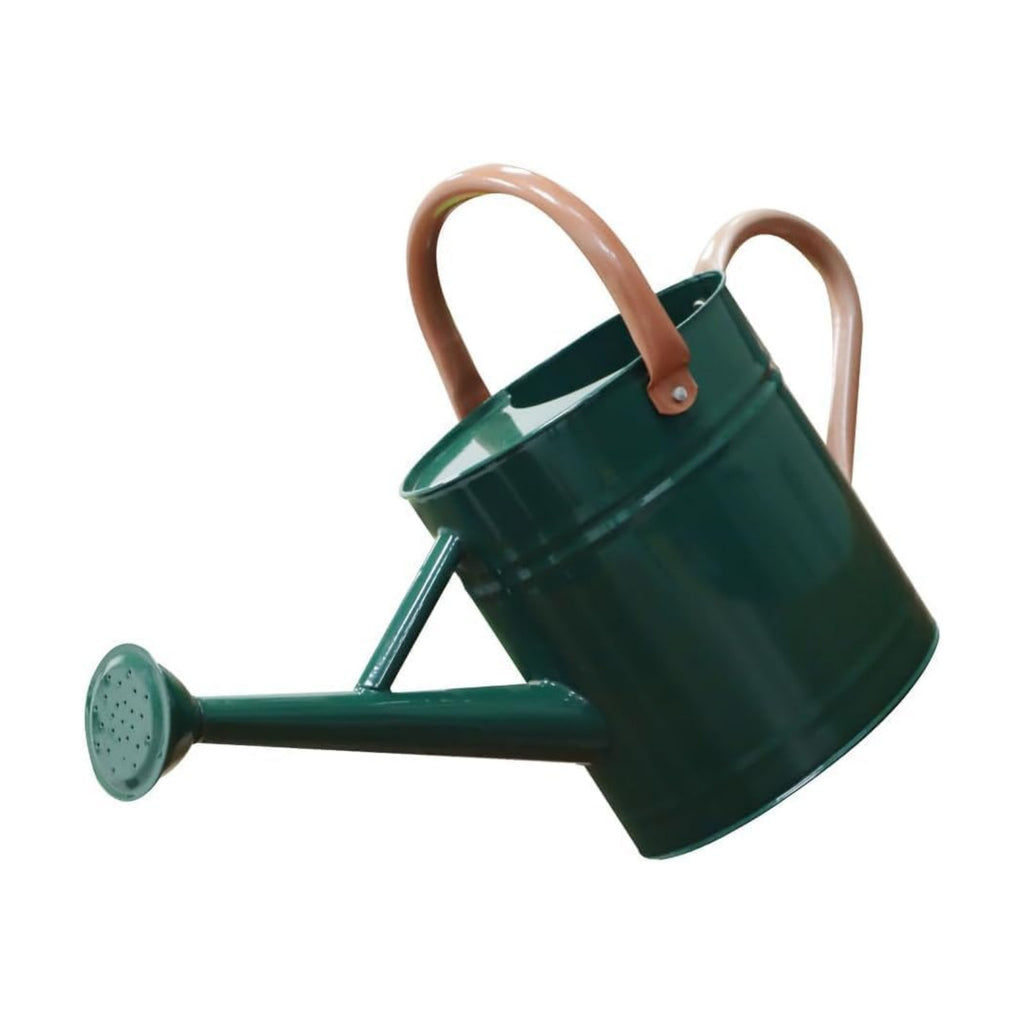 1 Gallon Metal Watering Can for Outdoor Indoor Garden Plants，Green | Movable Handle，With Removable Spout, Can Choose