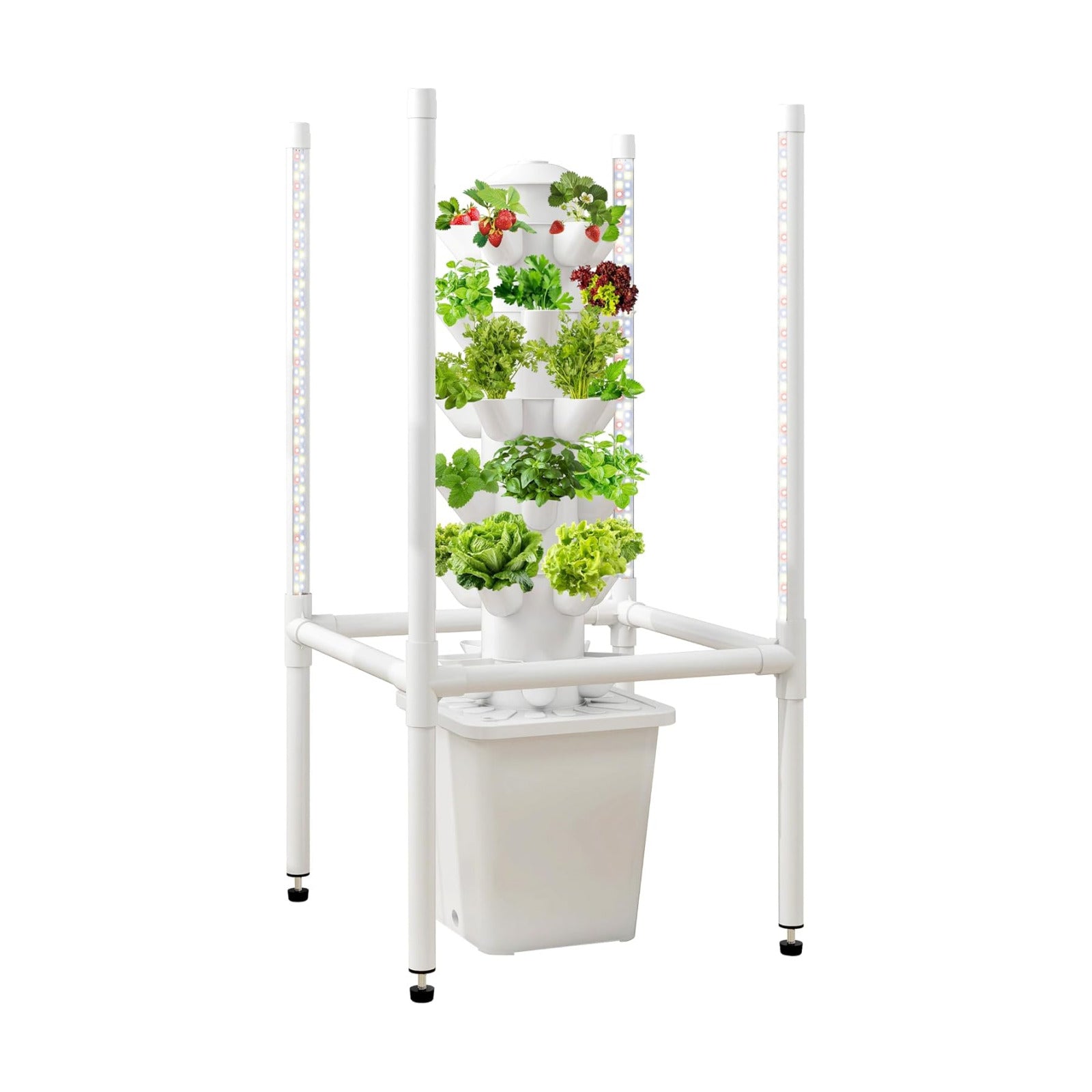 Hydroponics Growing System, 30 Pods Indoor Hydroponic Garden with 48W LED Grow Light for Year-Round Gardening, Plants