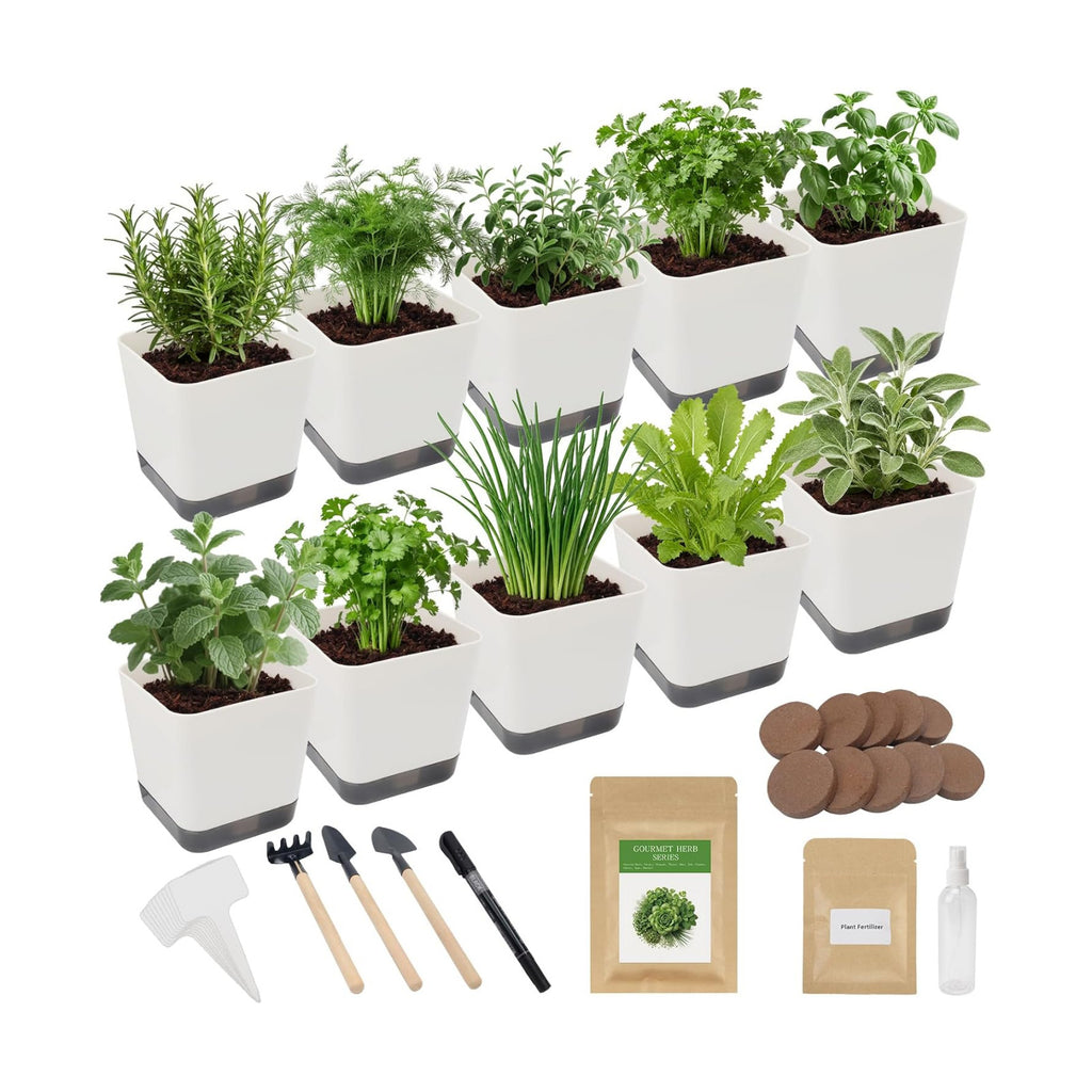 Indoor Herb Garden Starter Kit, 10 Non-GMO Herb Seeds for Basil, Parsley, Thyme, Mint, Cilantro, Dill, Oregano, Chives