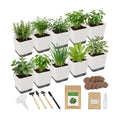 Indoor Herb Garden Starter Kit, 10 Non-GMO Herb Seeds for Basil, Parsley, Thyme, Mint, Cilantro, Dill, Oregano, Chives