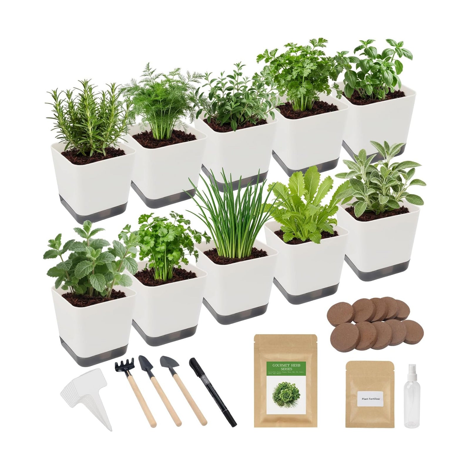 Indoor Herb Garden Starter Kit, 10 Non-GMO Herb Seeds for Basil, Parsley, Thyme, Mint, Cilantro, Dill, Oregano, Chives