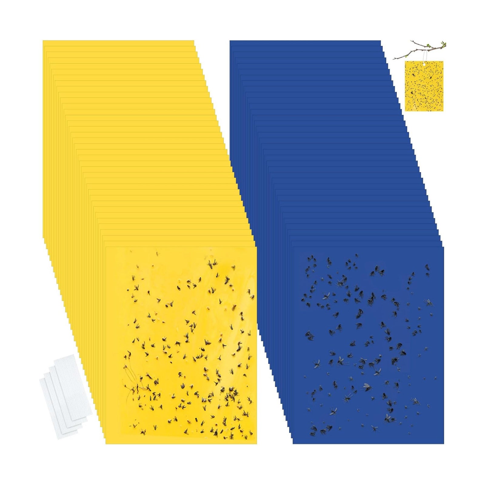 Qualirey 100 Pcs Yellow,Blue,Green Sticky Traps 6x8in for Gnats Indoor | Dual-sided for Fungus Gnats Fruit Flies