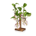 Plants Propagation Stations Bulb Glass Propagation Birthday Gift for Women | Garden Plant Lovers - 4 Bulb