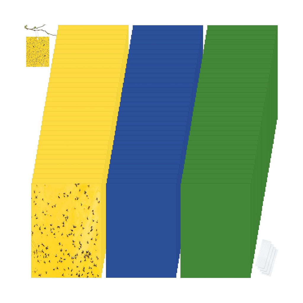 Qualirey 150 Pcs Yellow,Blue,Black Sticky Traps 6x8in for Gnats Indoor | Dual-sided for Fungus Gnats Fruit Flies