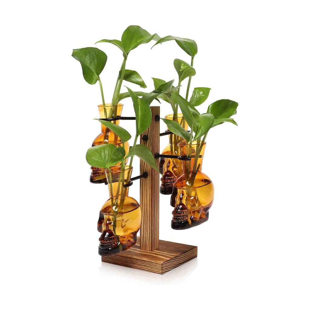 Plants Propagation Stations Skull Glass Propagation Birthday Gift for Women | Garden Plant Lovers - 4 Skull
