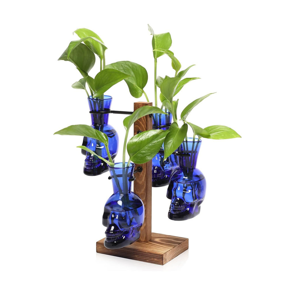 Plants Propagation Stations Skull Glass Propagation Birthday Gift for Women | Garden Plant Lovers - 4 Skull