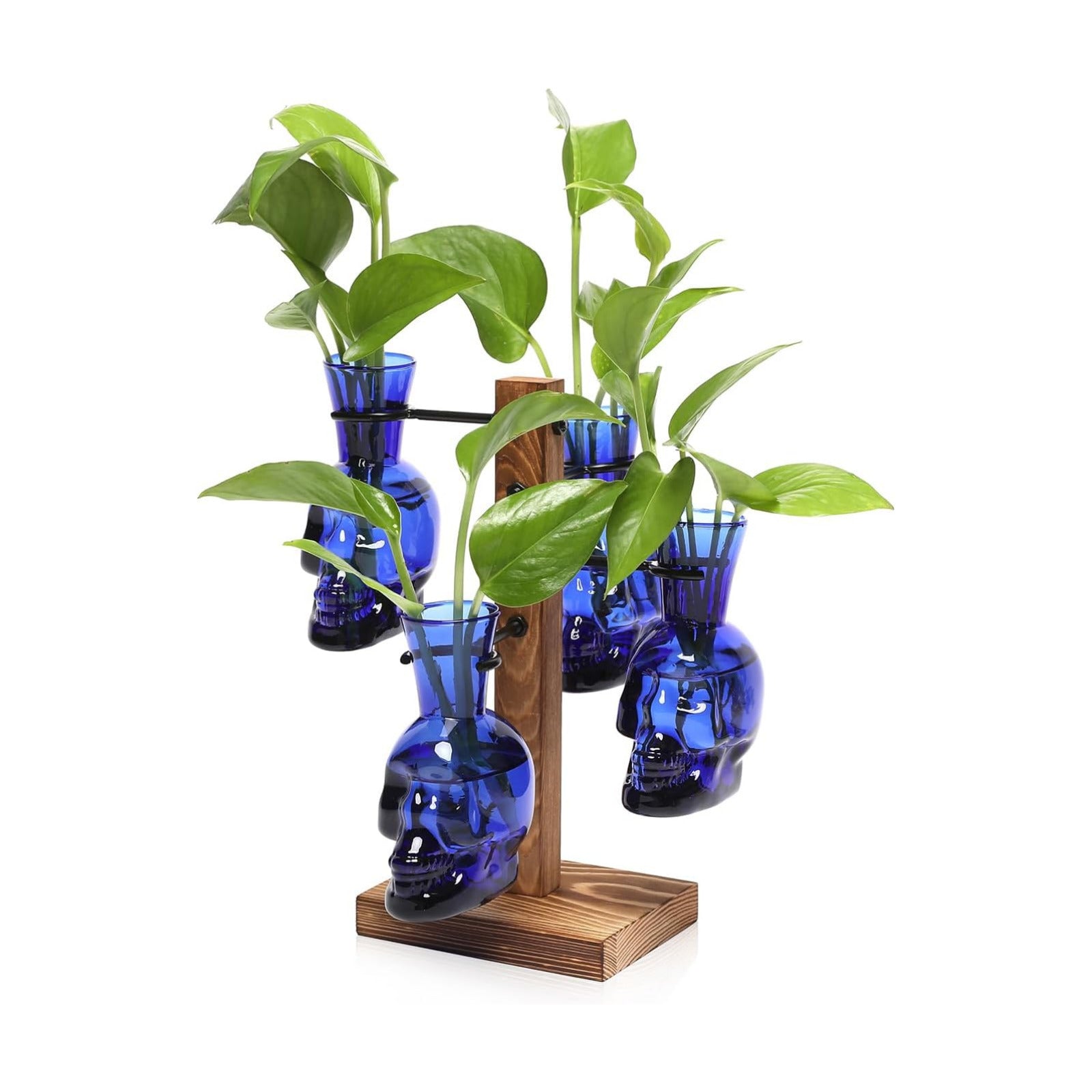 Plants Propagation Stations Skull Glass Propagation Birthday Gift for Women | Garden Plant Lovers - 4 Skull
