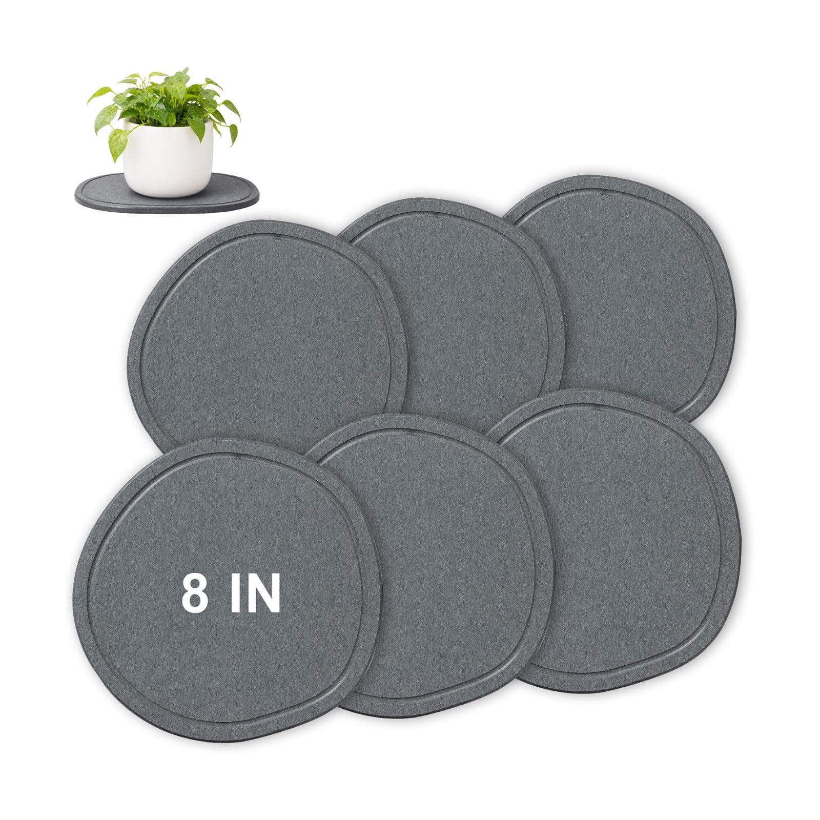 8 Inch 6 Pack Diatomite Plant Trays to Catch Water, Plant Pot Saucers | XRzitky Quick Absorbent and Dry Water Catcher