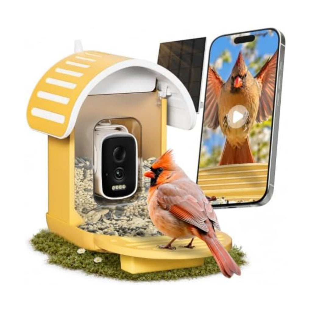 Smart Bird Feeder with Camera, Yellow