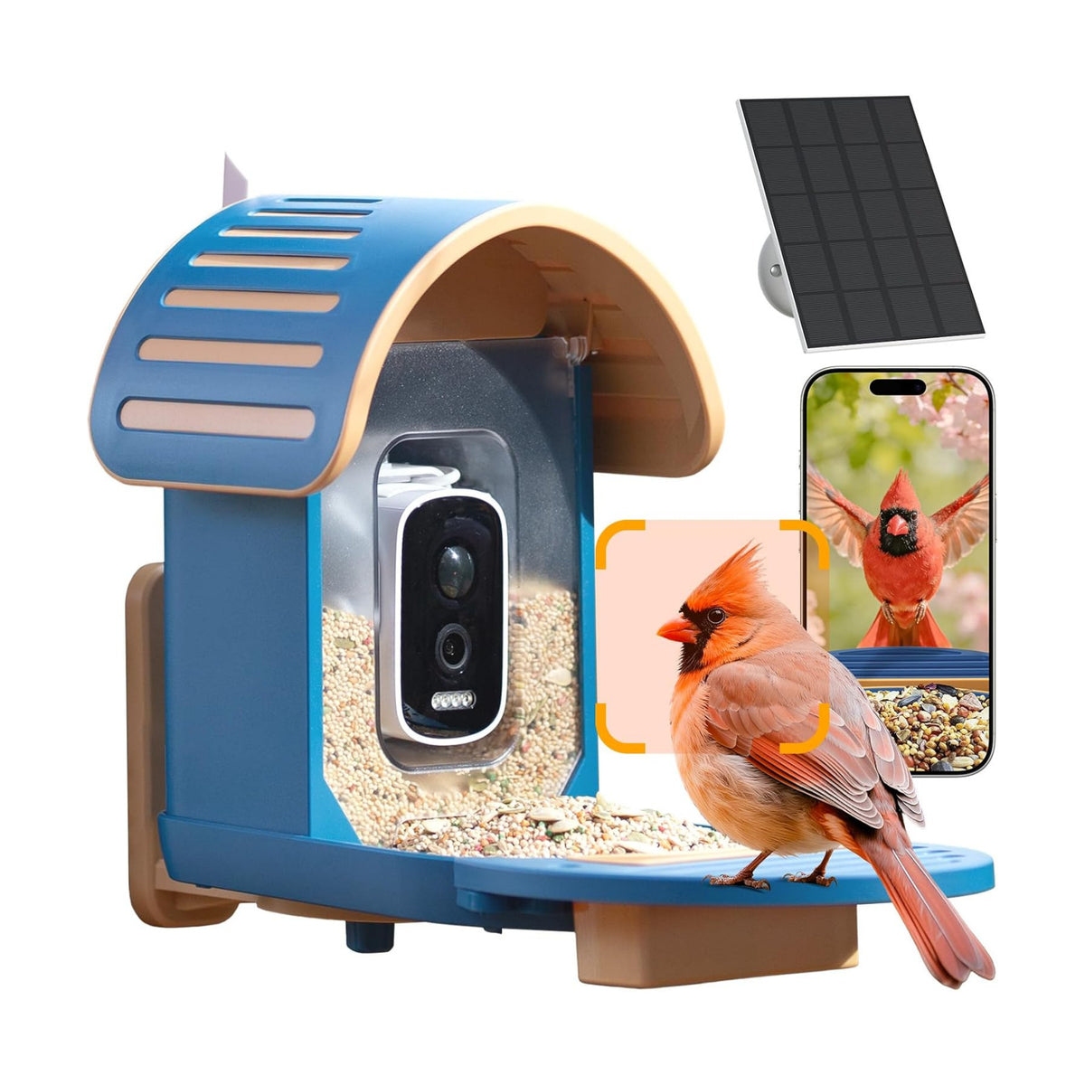 Smart Bird Feeder with Camera, Blue